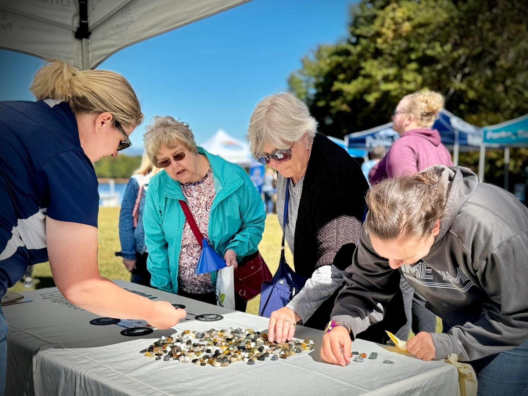 group of people looking at a booth at Lake Robinson day