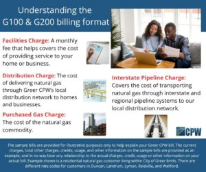 Understanding the G100 and G200 billing format